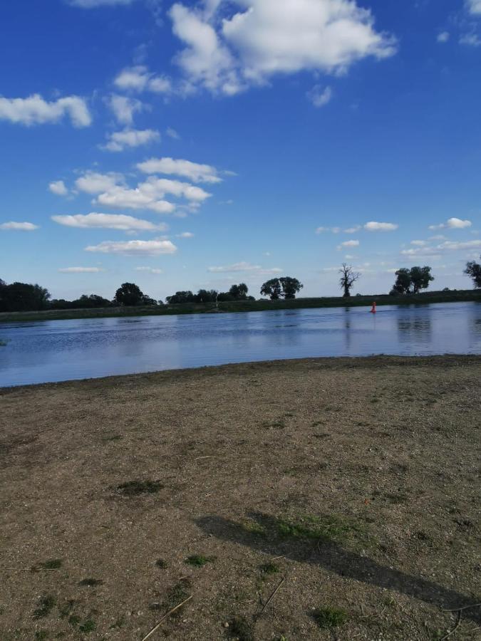 Pension Zur Gartenstadt Wittenberg Bagian luar foto